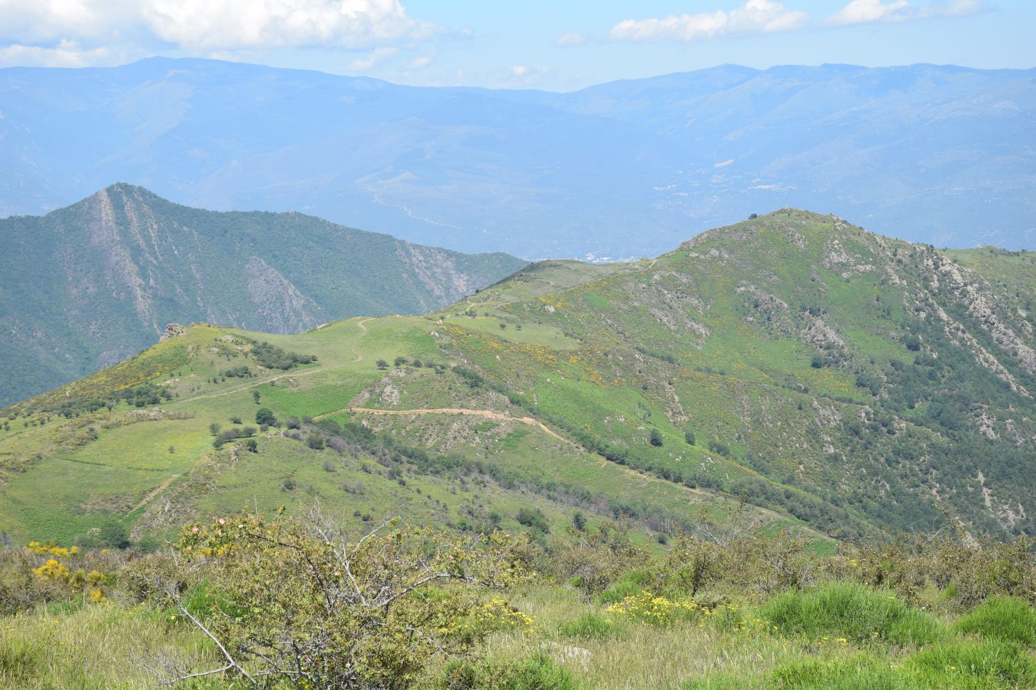 Mountains