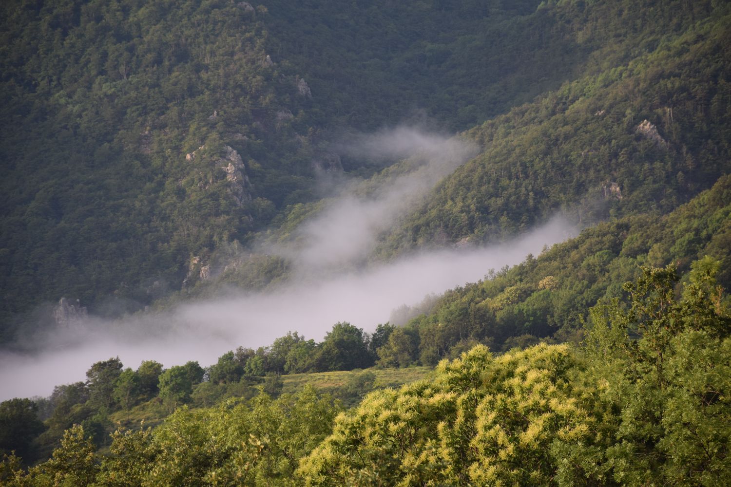 Clouds waking up